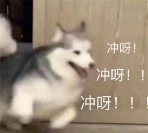 快来看啊！好多色站啊，每个都不一样！ .
